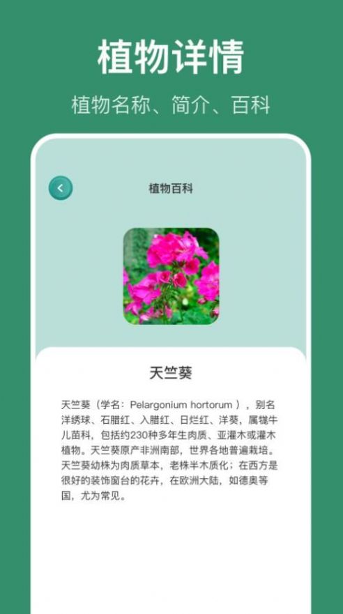 花仙识花草  v1.1图2