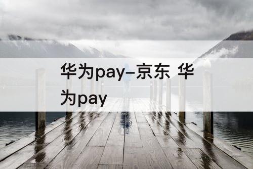 华为pay-京东 华为pay