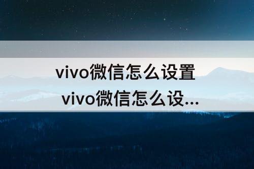 vivo微信怎么设置 vivo微信怎么设置拍一拍