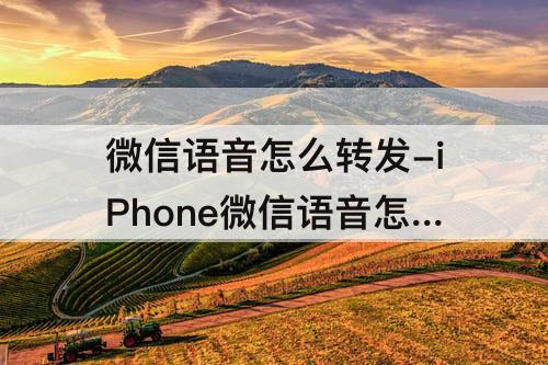 微信语音怎么转发-iPhone微信语音怎么转发