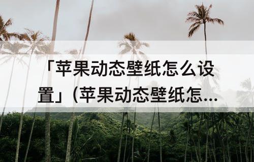 「苹果动态壁纸怎么设置」(苹果动态壁纸怎么设置不了高清的)