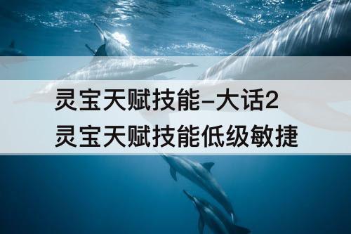 灵宝天赋技能-大话2灵宝天赋技能低级敏捷