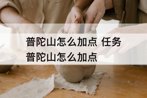 普陀山怎么加点 任务普陀山怎么加点