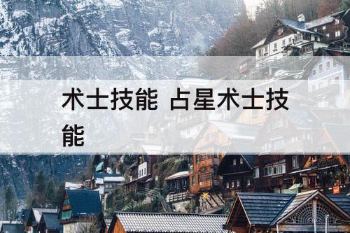 术士技能 占星术士技能