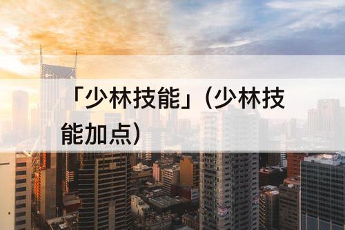 「少林技能」(少林技能加点)