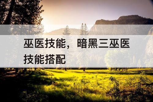 巫医技能，暗黑三巫医技能搭配