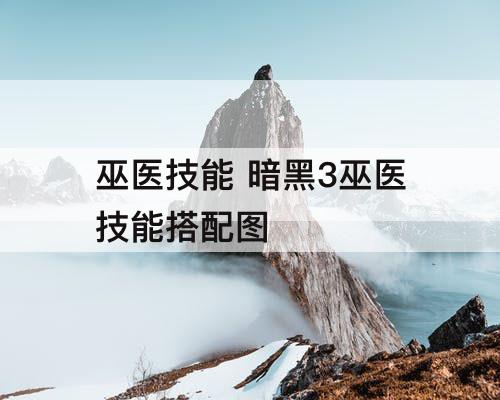 巫医技能 暗黑3巫医技能搭配图