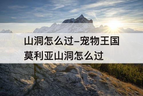 山洞怎么过-宠物王国莫利亚山洞怎么过