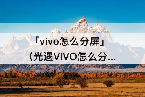 「vivo怎么分屏」(光遇VIVO怎么分屏玩两个号)
