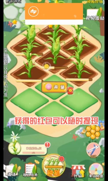 飘香玉米田红包版  v1.0图1