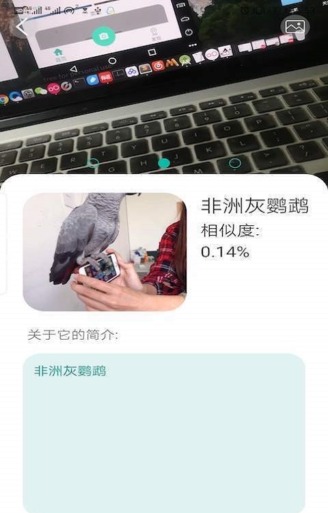 天天识别软件  v1.0图1