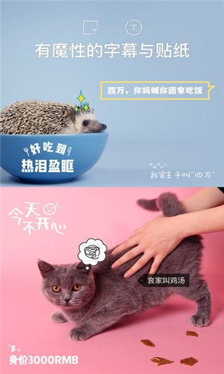 猫饼手机版  v2.0.0图1