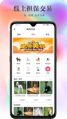 跟脚网  v1.0图1