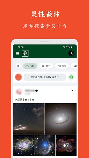 灵性森林  v1.0.0图1