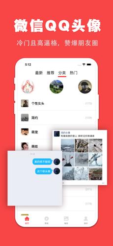 斑马头像限定款  v1.0.0图2