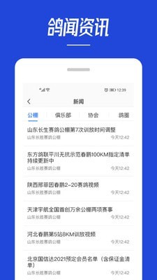 青鸽网最新版  v3.6.3图1