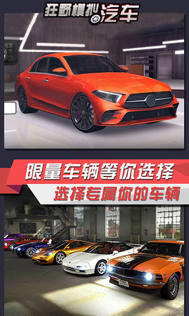 狂野模拟汽车  v3.1图1