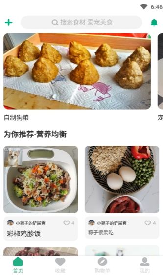 宠物食谱制作教学