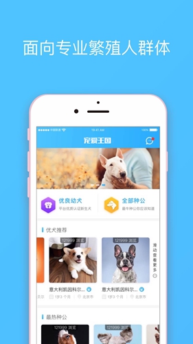 宠爱王国  v3.9.24图1