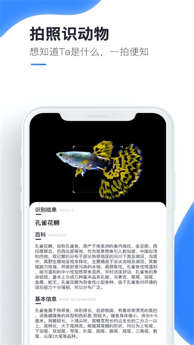 百科扫描王免费版下载安装  v1.0.0图1