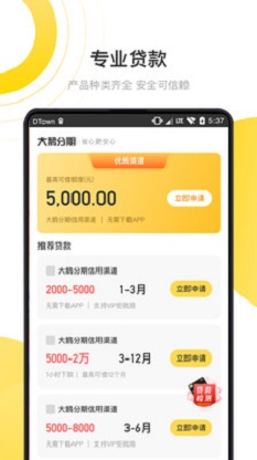 大鹅分期贷款2024