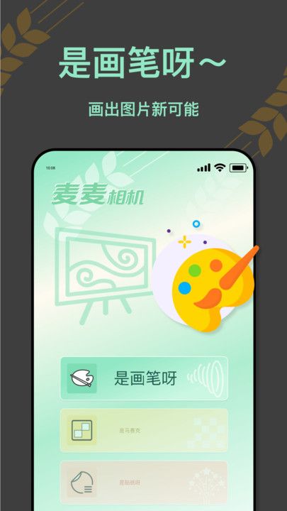 麦麦相机  v1.0.0.101图2