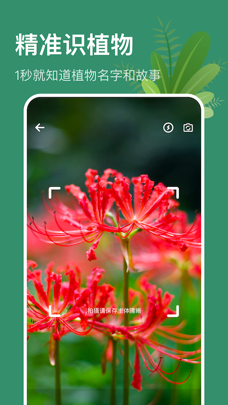 行色识花识植物  v1.1图3