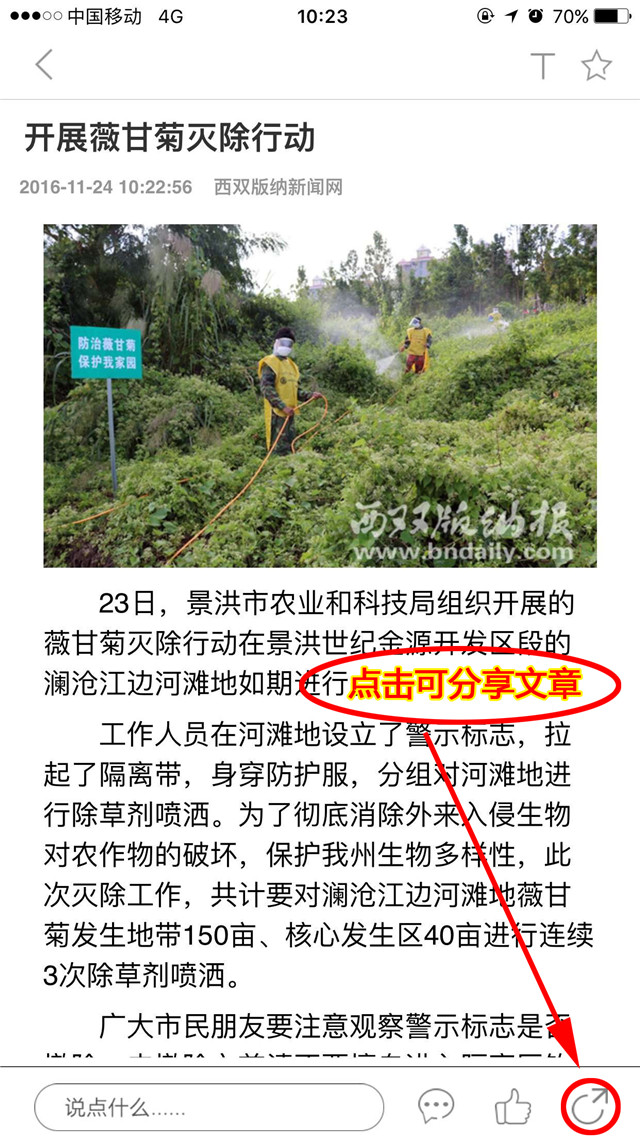 美丽西双版纳