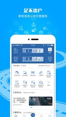 交管12123官网app下载最新版本  v2.4.8图2