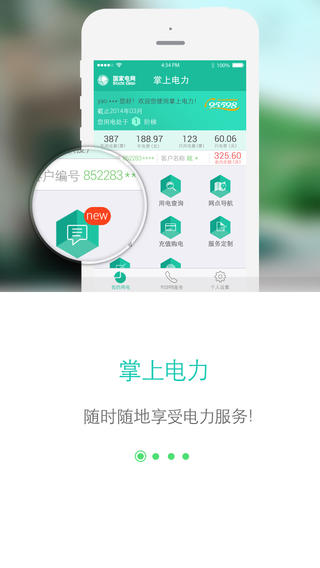 网上国网2.2.5  v2.0.5图2