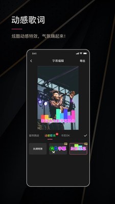 绘影字幕vip解锁版下载安卓  v4.5.2图2