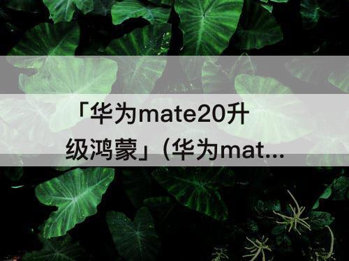 「华为mate20升级鸿蒙」(华为mate20升级鸿蒙系统体验)