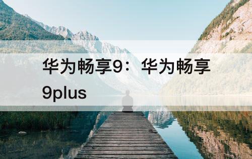 华为畅享9：华为畅享9plus