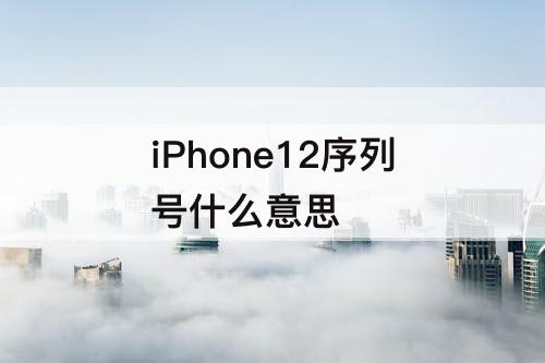 iPhone12序列号什么意思